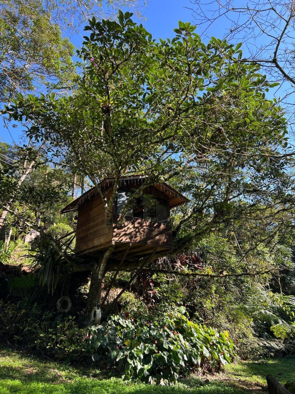 Pousada Sitio E Poesia Hotel Teresópolis Eksteriør billede