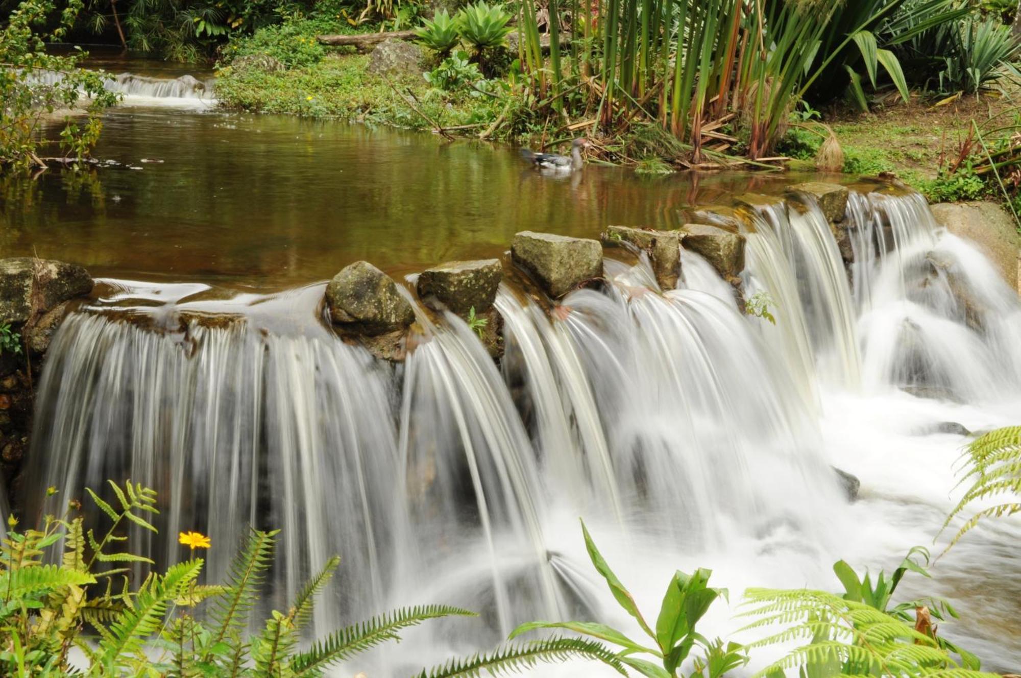 Pousada Sitio E Poesia Hotel Teresópolis Eksteriør billede